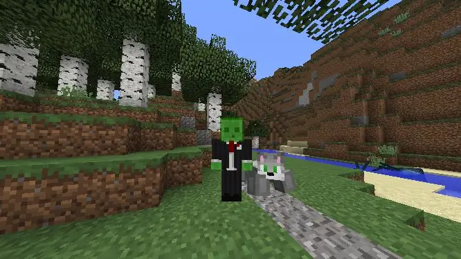 Maklike pasgemaakte Minecraft -hond (geen mods nie)