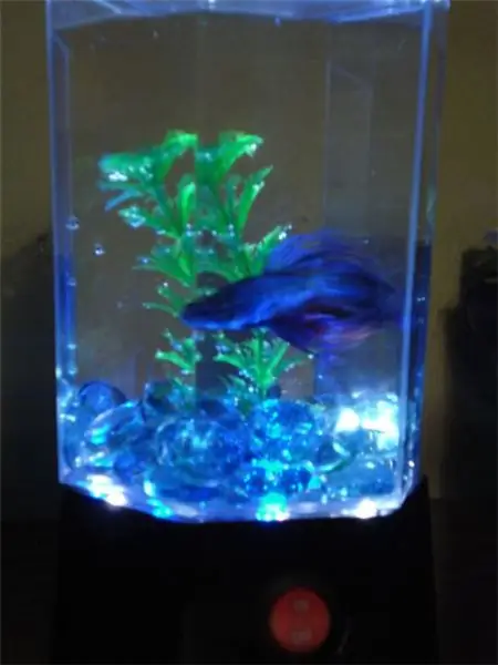 Fish Tank LED Bonanza !: 8 trin