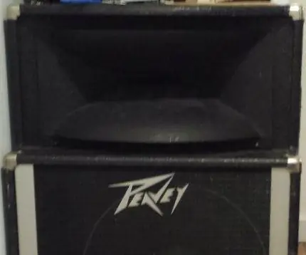 1992 Peavey Högtalare Black Widow Driver Repair: 5 steg