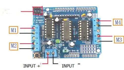 Connecteu els motors amb l'escut del motor L293D