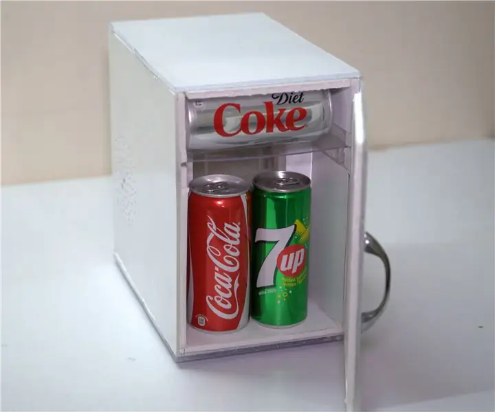 Mini refrigerador portátil de bricolaje: 19 pasos (con imágenes)