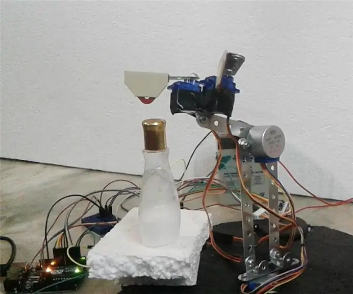 Servo Robotic Servo: 5 hapa