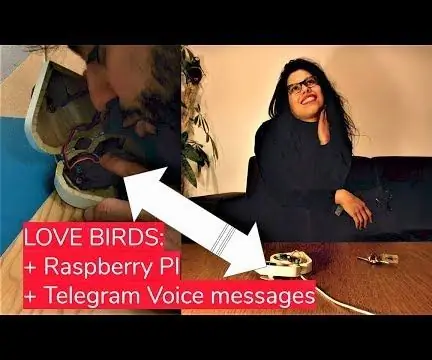 DIA DOS NAMORADOS Love Birds: uma caixa para enviar e receber mensagem de áudio do telegrama: 9 etapas (com fotos)