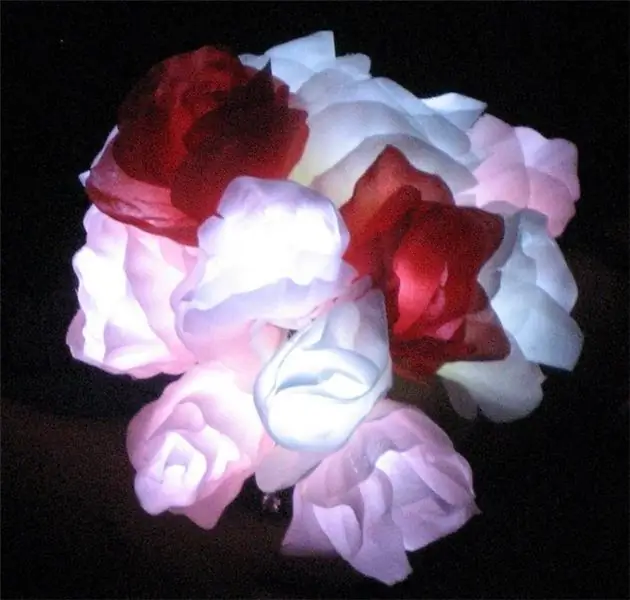 Pasang Bouquet Rose LED Anda Sendiri: 4 Langkah (dengan Gambar)