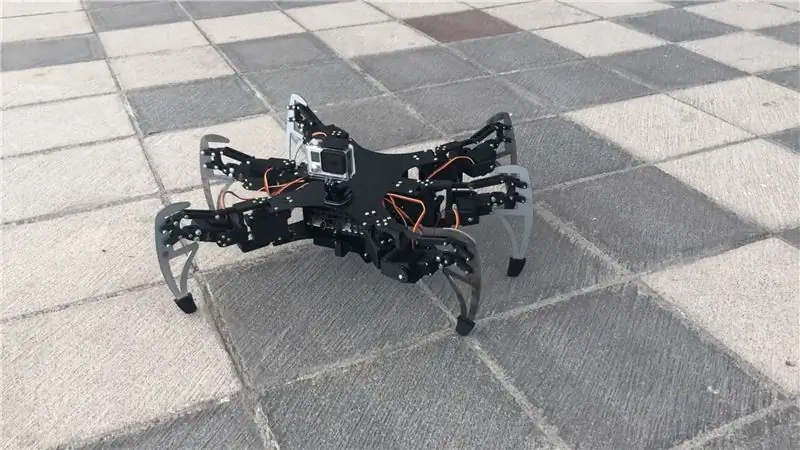 DIY hexapod