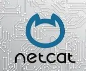 Netcat i Python: 6 trinn