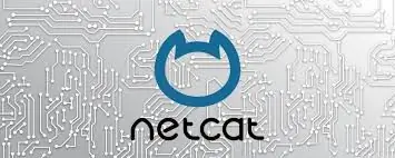 Netcat i Python