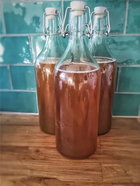 תרמוסטט Arduino Kombucha