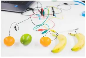 Makey Makey Fruit Piano