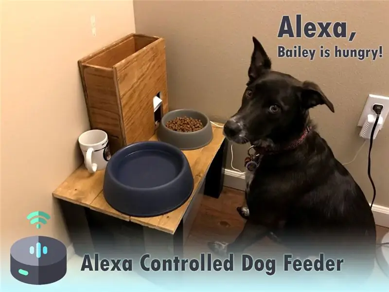 Alexa kontrollerad hundmatare