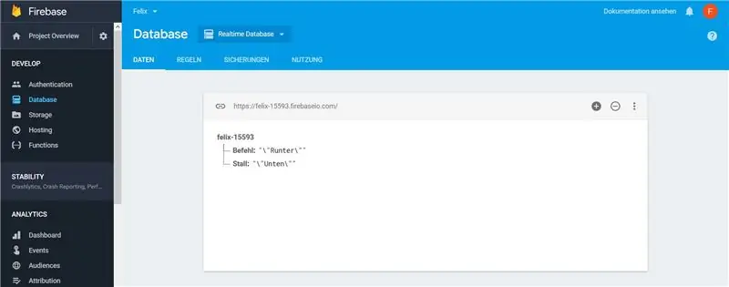 Firebase DATABASE