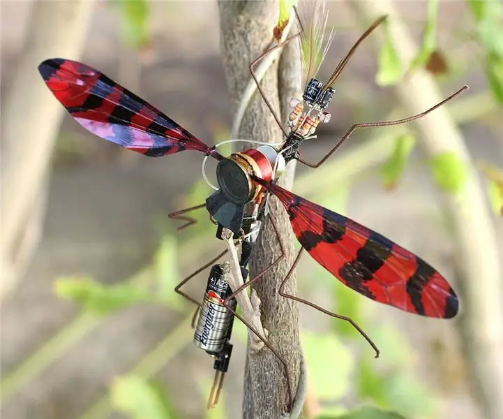 Insecte électromécanique ou oscillateur à battement : 9 étapes (avec photos)