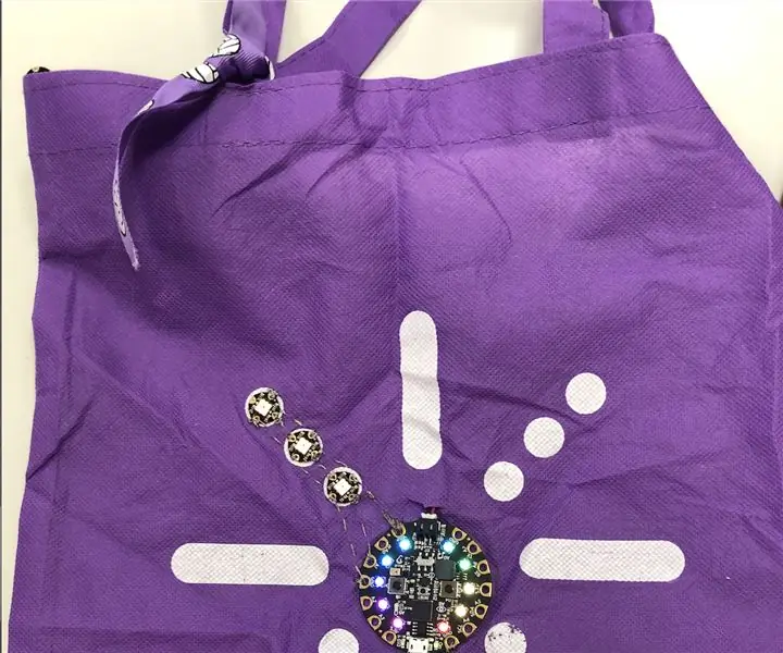 Ang Light Up Bag Na May Circuit Playground Express: 5 Mga Hakbang