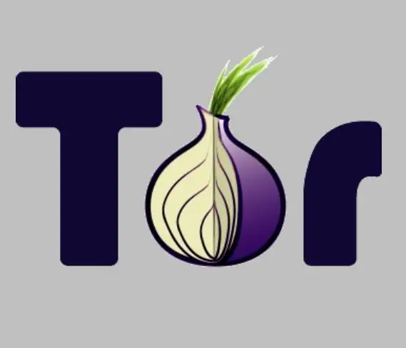 Gaan aanlyn sonder om gesnuffel te word: Tor (The Onion Router): 4 stappe (met foto's)