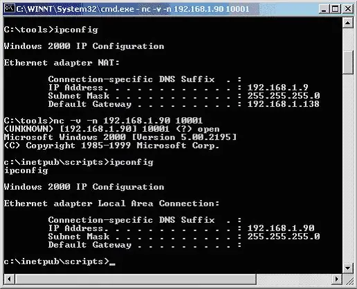 Più divertimento con Netcat!!: 4 passaggi