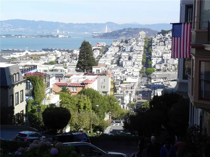 Vjetrobran Tree, San Francisco