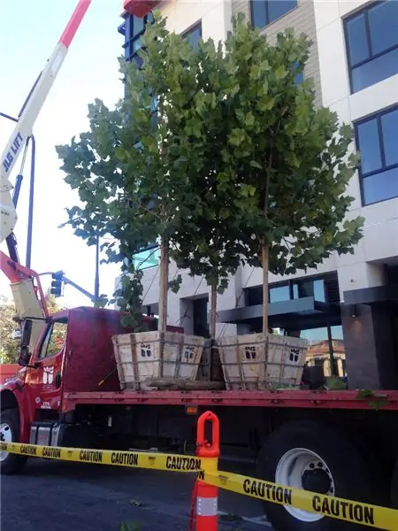 Tendances actuelles du blindage des arbres