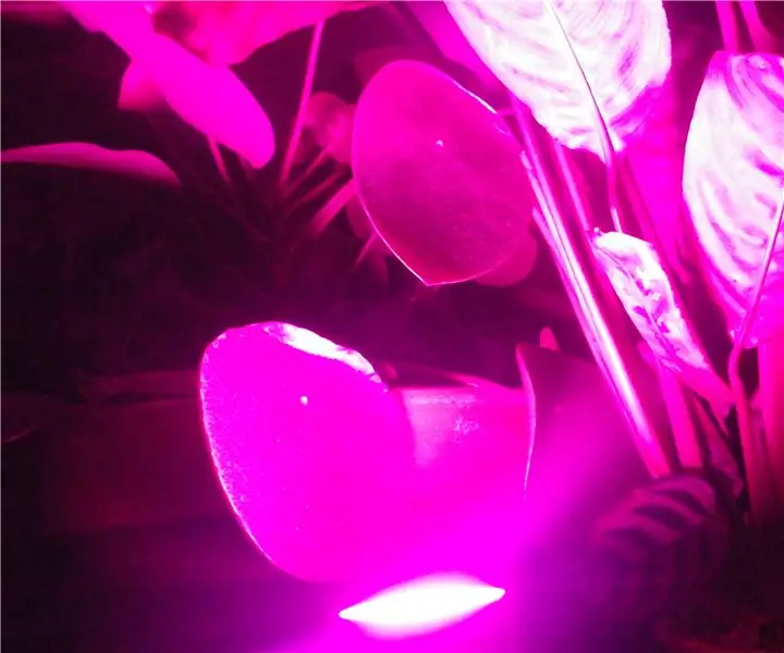 LED It Grow: 6 bước (có hình ảnh)