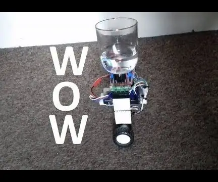 2 Wheeled Self Balancing Robot: 4 Mga Hakbang