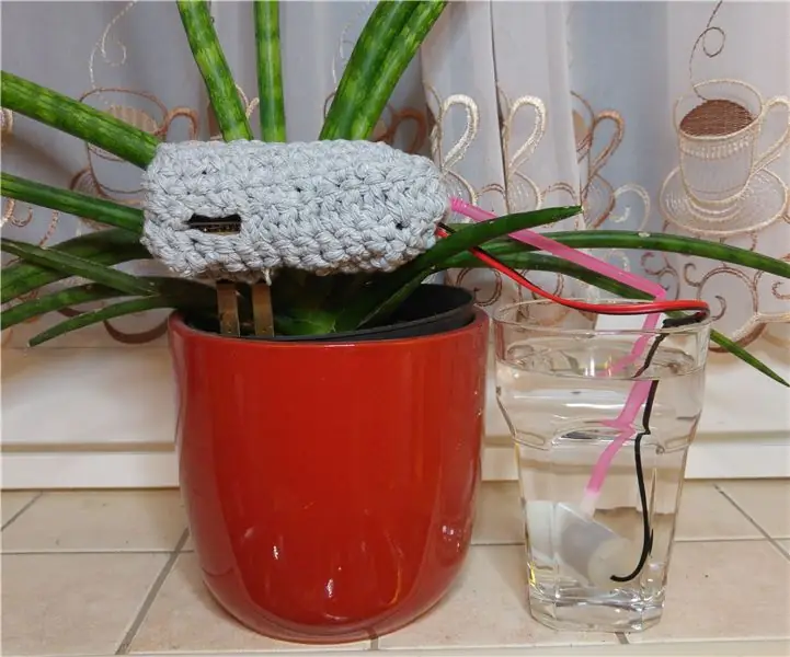 PlantCare Beste DIY -geskenk vir moeders: 7 stappe (met foto's)