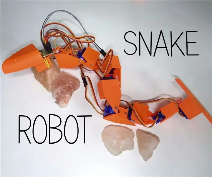 Robot serpente stampato in 3D: 7 passaggi (con immagini)