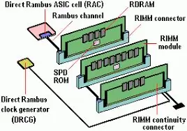 Soorten Ram