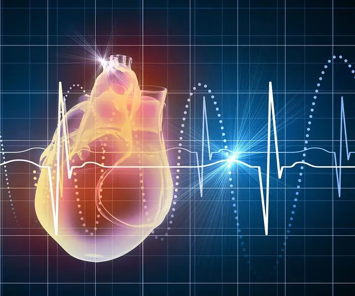 ECG at Heart Rate Virtual User Interface: 9 Mga Hakbang