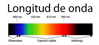 Retseptor Infra Rojo