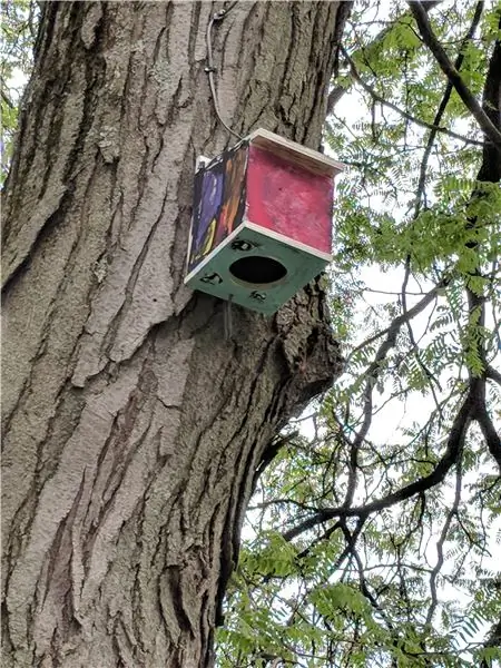 Bird House -høyttalere: 5 trinn