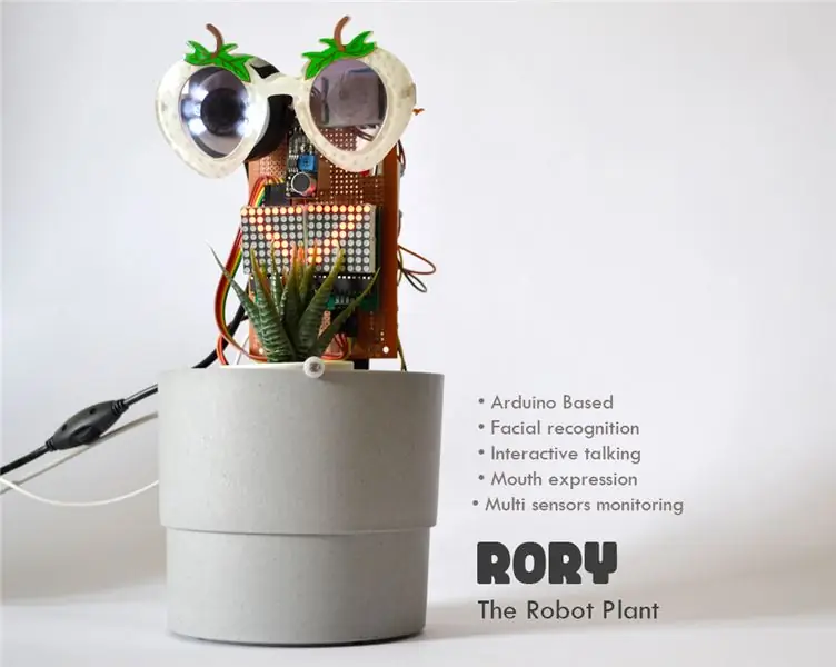 Rory la pianta robot