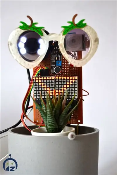 Rory Robot Plant