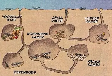 1. solis: iedvesma