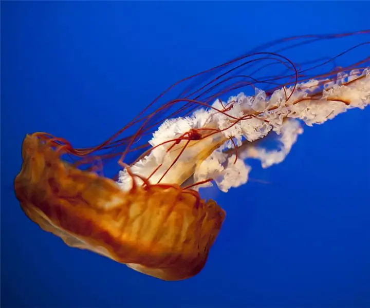 JELLYFISHIN TENTAKLIEN SIMULOINTI: 4 vaihetta