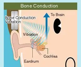 Head-phone Konduksi Tulang: 3 Langkah