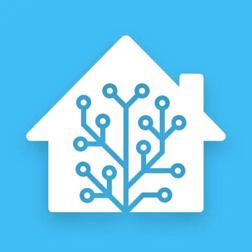 Home Assistant орнотуу