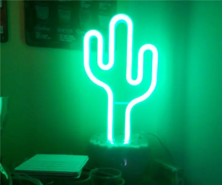 €12 Led Cactus (Neon Kamerdecoratie): 4 Stappen