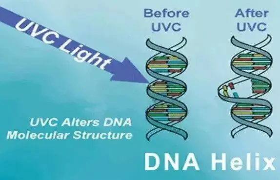 Theorie hinter dem UV-Licht