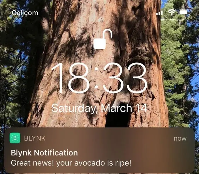 BLYNK App жана эскертме