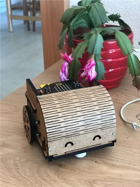 DIY edukacyjny mikro: bitowy robot