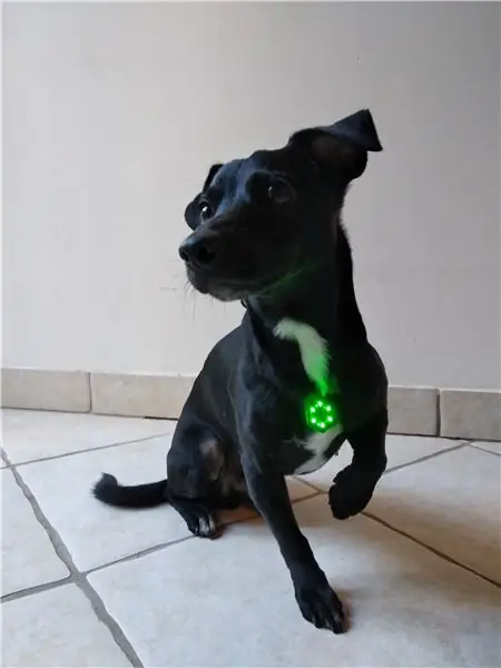 NeckLight: eine PCB-Halskette für Mensch und Hund