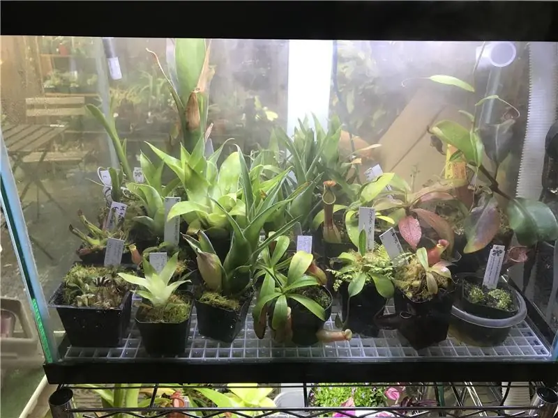 Terrarium üçün Rütubət və İstilik İdarəetmə Sistemi