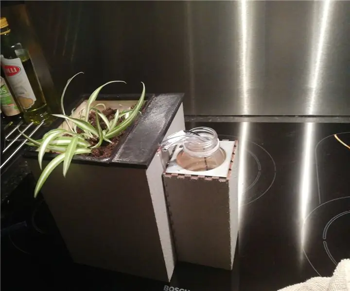 Self Watering Plant Box: 6 քայլ