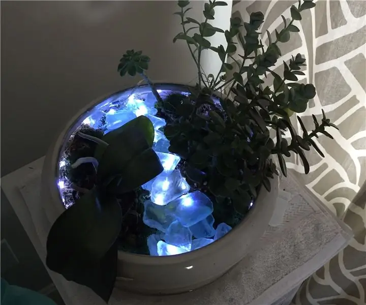 LED Light Up Garden: 3 stappen