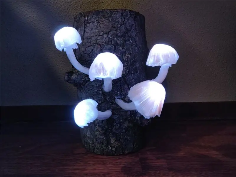 Interactieve gloeiende paddestoelen