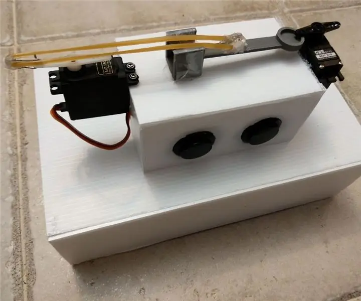 Roj Hmab Band Catapult: 8 Kauj Ruam (nrog Duab)