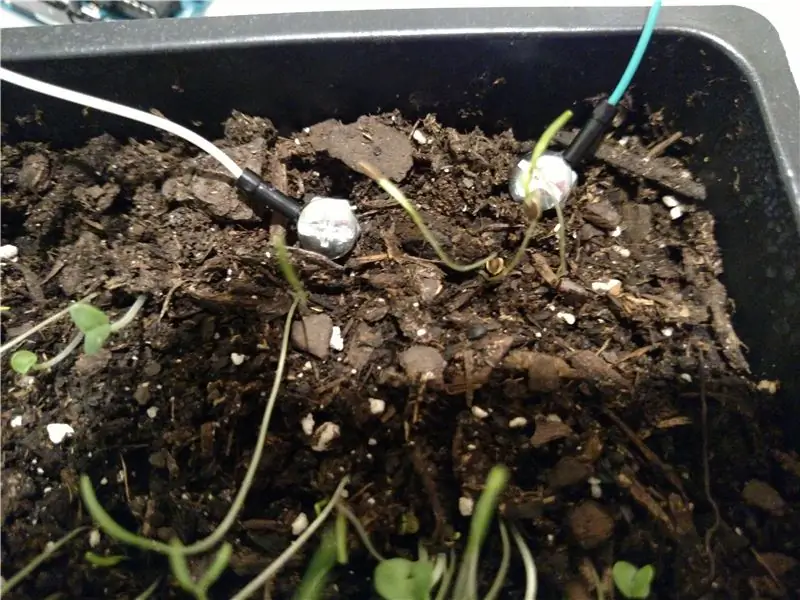 DIY Plant Moisture Sensor W/ Arduino