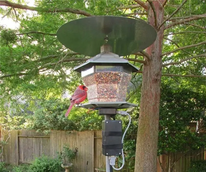 Bird Feeder Monitor: 7 кадам (Сүрөттөр менен)