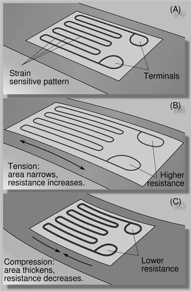 Load Cells thiab Strain Gauges