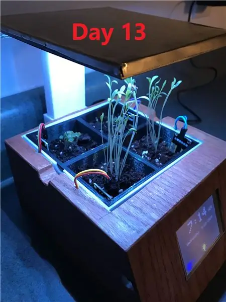 Smart Indoor Herb Garden