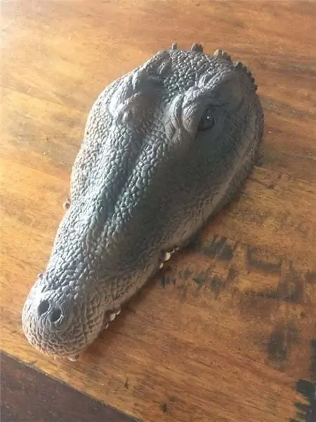 Ang Crocodile Pool Sensor